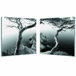 Buy 🔔 Baxton Studio ROCKY SHORE Frameless Canvas Wall Art - Black&White 🎉