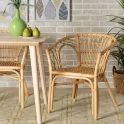Budget โค๏ธ Baxton Studio Kaka Modern Bohemian Natural Brown Rattan Dining Chair ๐