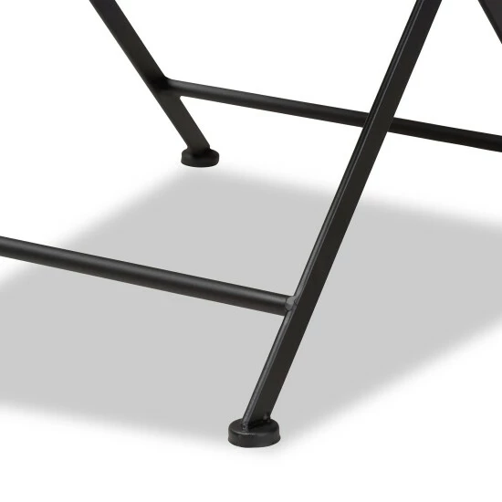 Buy ✔️ Baxton Studio Julius Modern Metal & Colored Glass Outdoor Dining Chair Set(2PC) 🛒 - Image 7