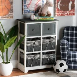 Best reviews of 😀 Baxton Studio Premala Modern White Wood Storage Unit With Grey Willow Baskets 🌟